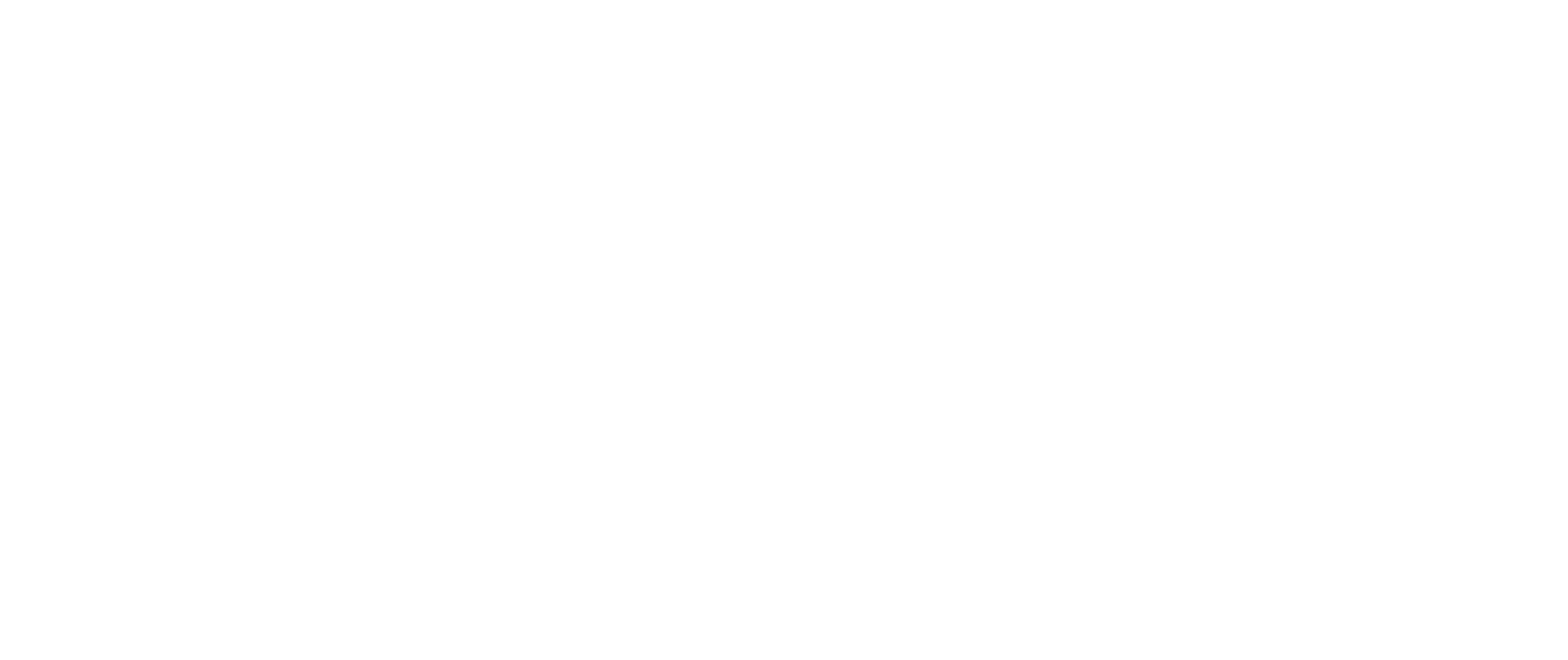 Torii Travels