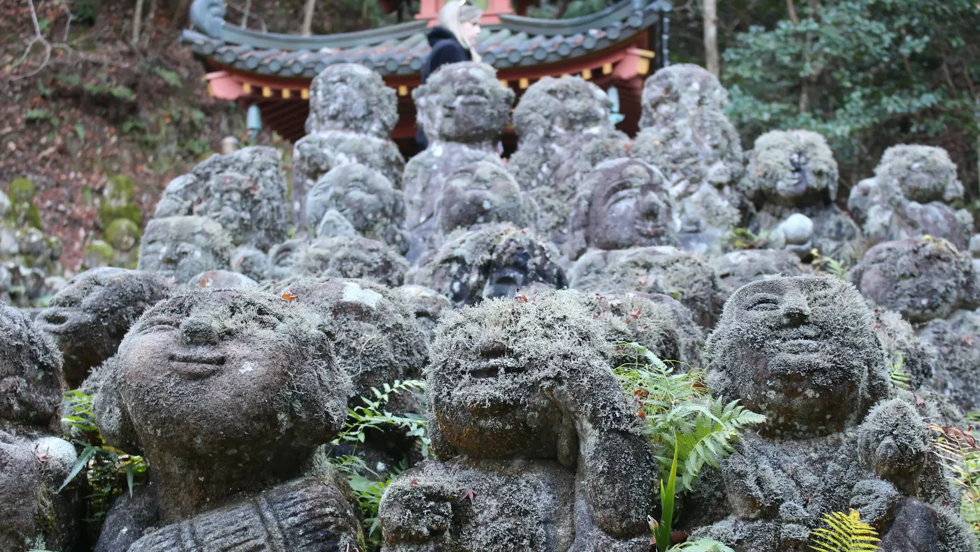 Ting at se i Kyoto - Otagi nenbutsu-ji