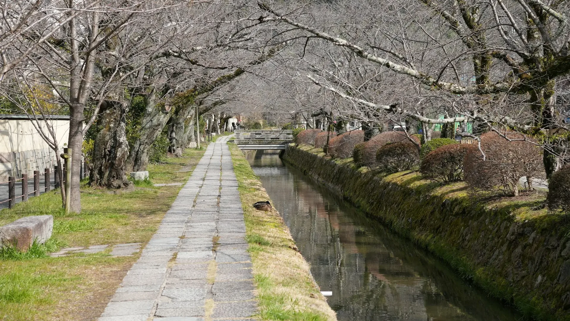 Ting at se i Tokyo - Philosophers path